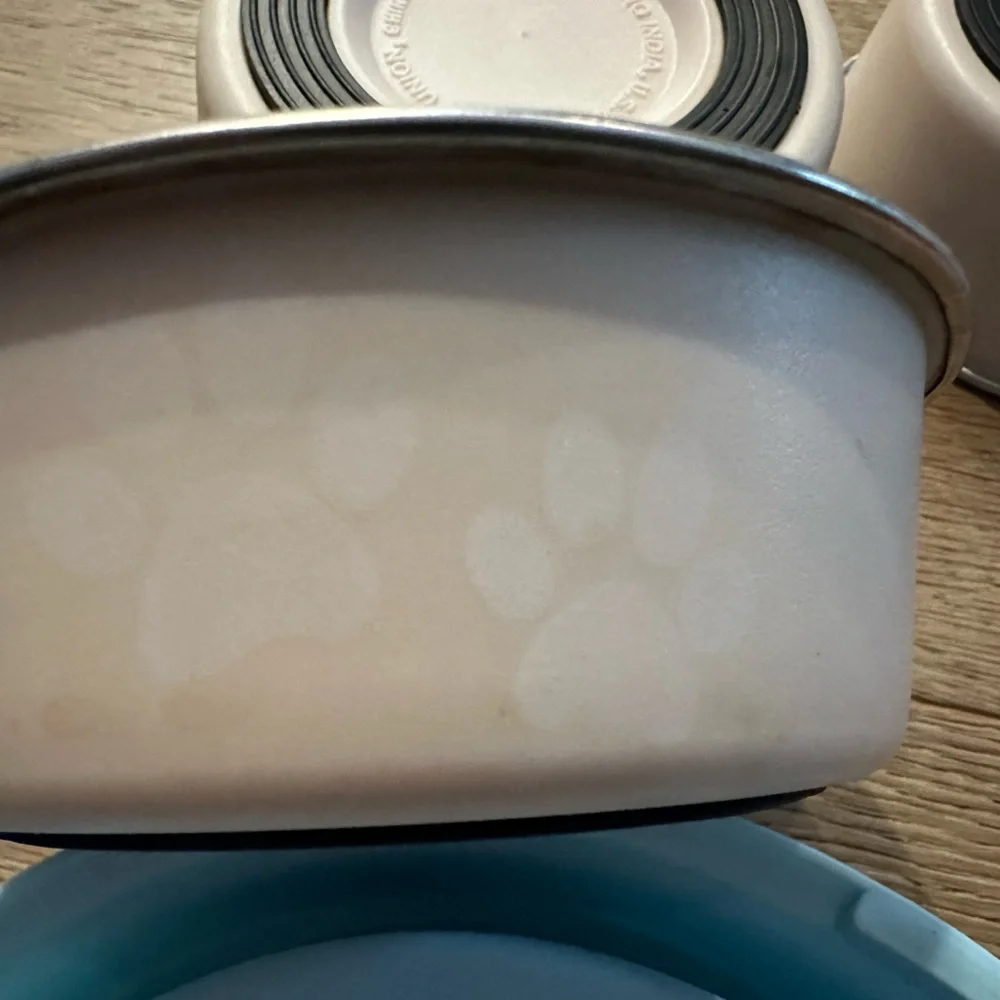 Blue and Pink Pet Feeding Bowls